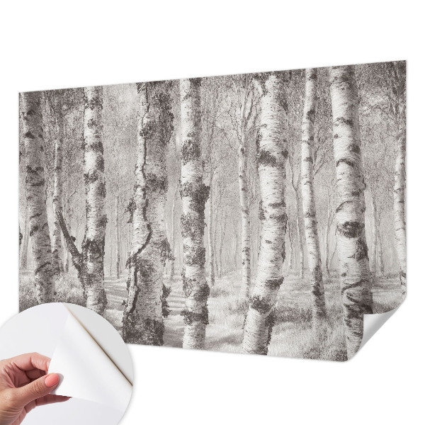 Moderne Fototapete nach Maß Birkenwald