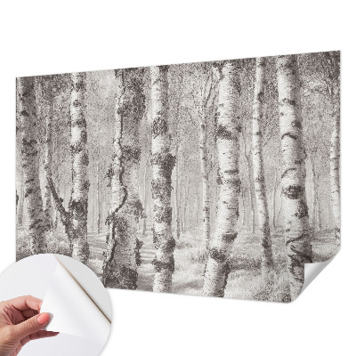 Moderne Fototapete nach Maß Birkenwald