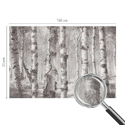 Moderne Fototapete nach Maß Birkenwald