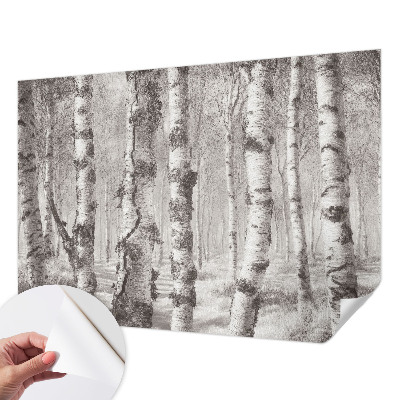 Moderne Fototapete nach Maß Birkenwald