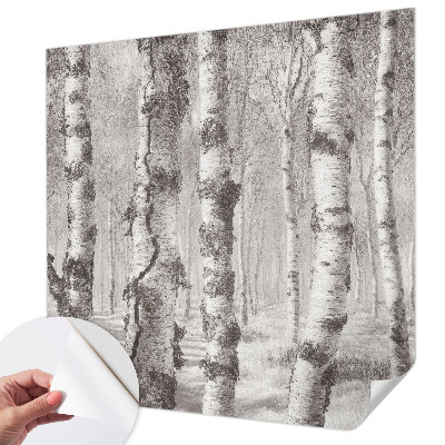 Moderne Fototapete nach Maß Birkenwald