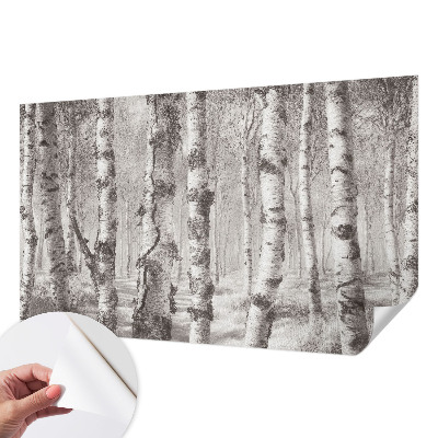 Moderne Fototapete nach Maß Birkenwald