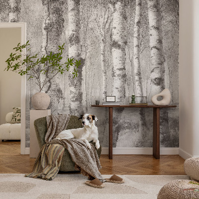 Moderne Fototapete nach Maß Birkenwald