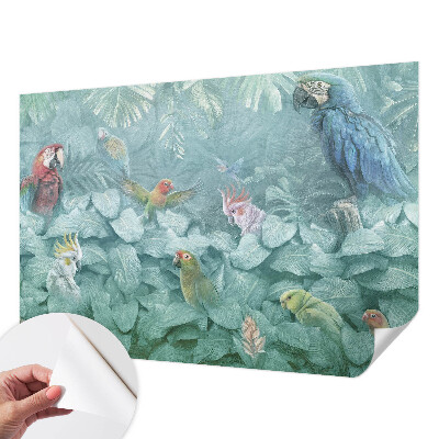 Motivtapete fürs Wohnzimmer Exotische Vögel