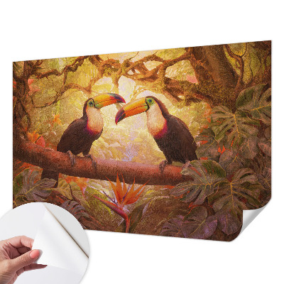 75D-Fototapete fürs Wohnzimmer Bunte Tukane