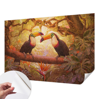 75D-Fototapete fürs Wohnzimmer Bunte Tukane