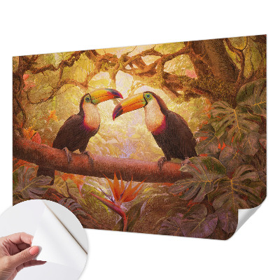 75D-Fototapete fürs Wohnzimmer Bunte Tukane