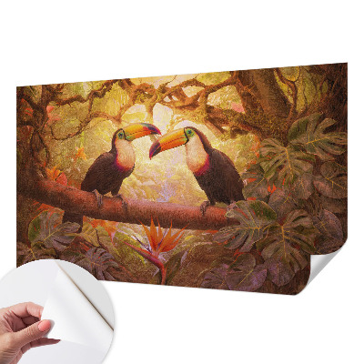 75D-Fototapete fürs Wohnzimmer Bunte Tukane
