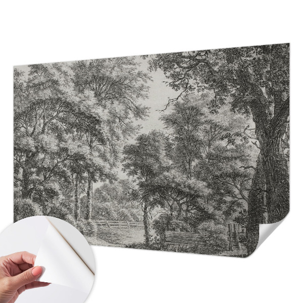 76D-Fototapete mit Motiv einer Waldlandschaft