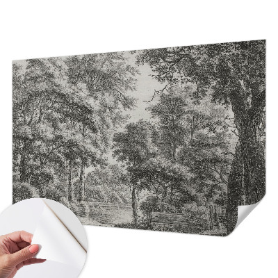 76D-Fototapete mit Motiv einer Waldlandschaft