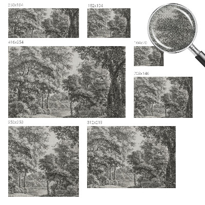 76D-Fototapete mit Motiv einer Waldlandschaft