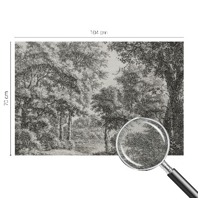 76D-Fototapete mit Motiv einer Waldlandschaft