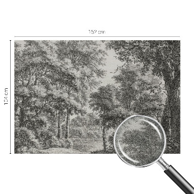 76D-Fototapete mit Motiv einer Waldlandschaft