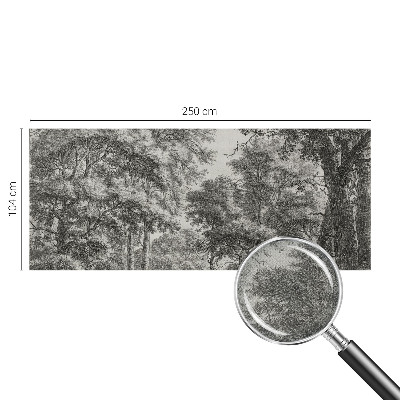 76D-Fototapete mit Motiv einer Waldlandschaft