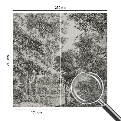 76D-Fototapete mit Motiv einer Waldlandschaft