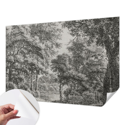 76D-Fototapete mit Motiv einer Waldlandschaft