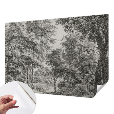 76D-Fototapete mit Motiv einer Waldlandschaft