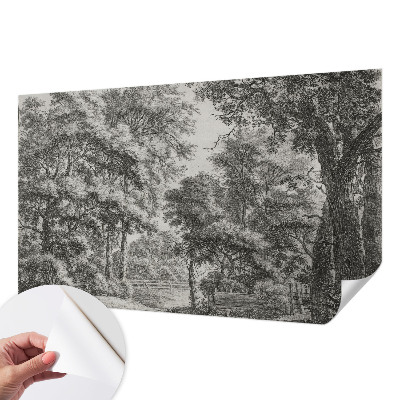 76D-Fototapete mit Motiv einer Waldlandschaft