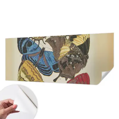 Selbstklebende Fototapete fürs Kinderzimmer mit Schmetterlingsmotiv