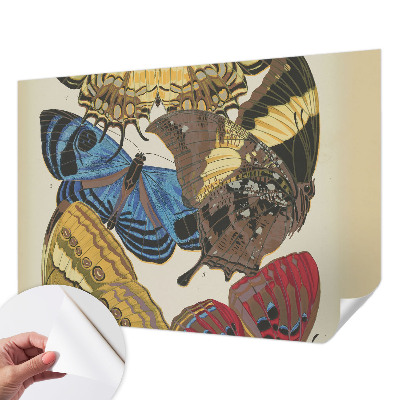 Selbstklebende Fototapete fürs Kinderzimmer Schmetterlinge Inspiration