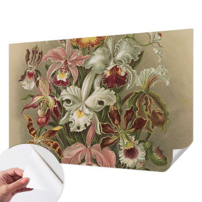 77D-Fototapete mit floralem Eleganzmotiv
