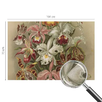 77D-Fototapete mit floralem Eleganzmotiv