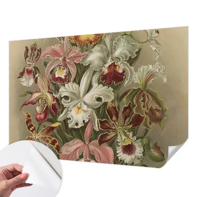 77D-Fototapete mit floralem Eleganzmotiv
