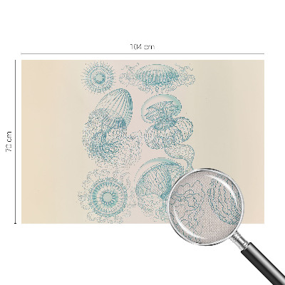 Fototapete in 3D-Optik mit Motiv von Seequallen