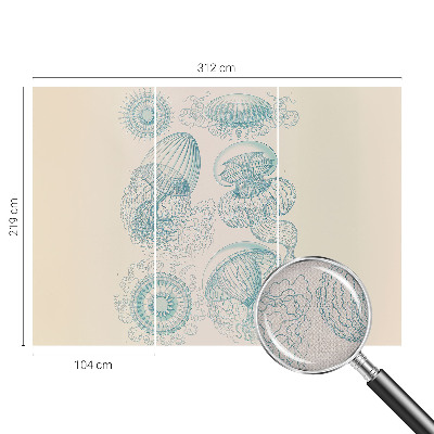 Fototapete in 3D-Optik mit Motiv von Seequallen