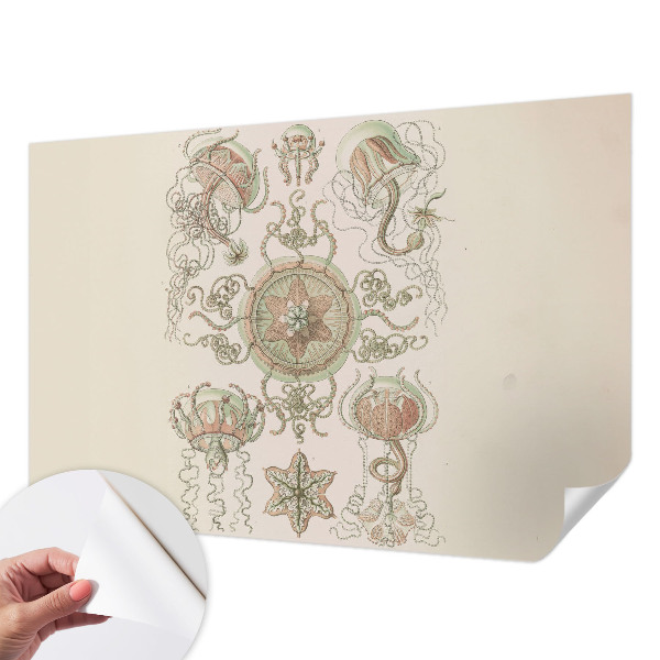 77D-Fototapete fürs Wohnzimmer Unterwasserwelt