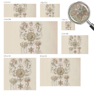 77D-Fototapete fürs Wohnzimmer Unterwasserwelt