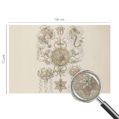 77D-Fototapete fürs Wohnzimmer Unterwasserwelt