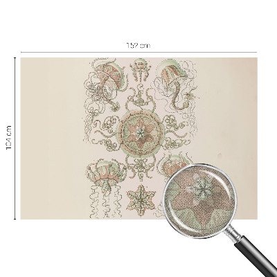 77D-Fototapete fürs Wohnzimmer Unterwasserwelt