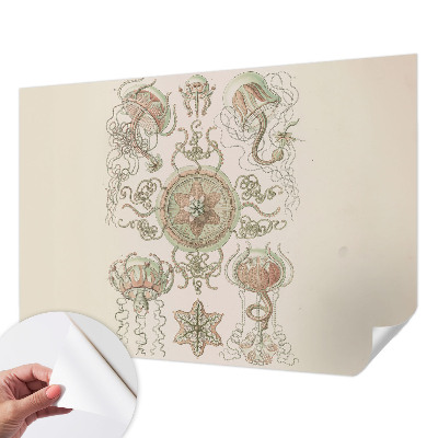 77D-Fototapete fürs Wohnzimmer Unterwasserwelt