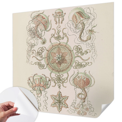 77D-Fototapete fürs Wohnzimmer Unterwasserwelt