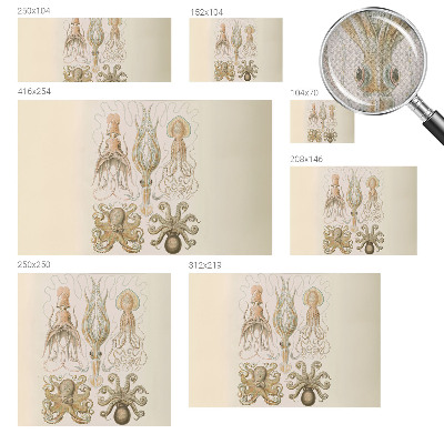 77D-Fototapete fürs Schlafzimmer Meeresleben