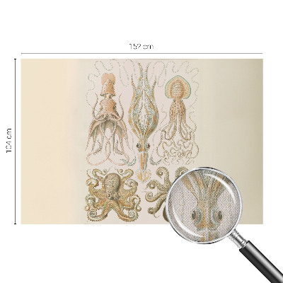 77D-Fototapete fürs Schlafzimmer Meeresleben