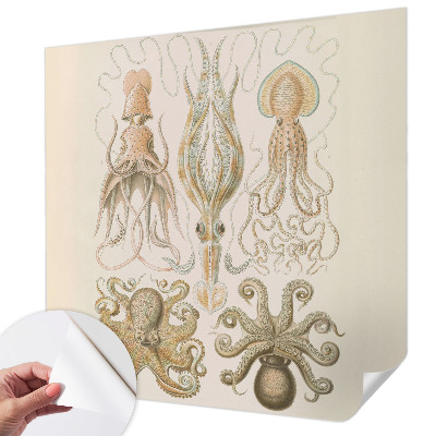 77D-Fototapete fürs Schlafzimmer Meeresleben