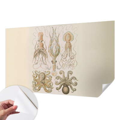 77D-Fototapete fürs Schlafzimmer Meeresleben