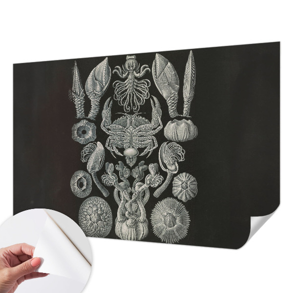 Fototapete nach Maß Unterwasserformen