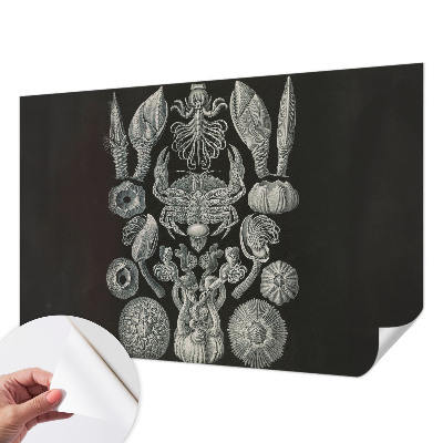 Fototapete nach Maß Unterwasserformen