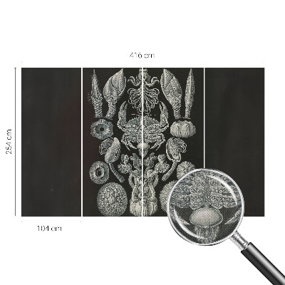 Fototapete nach Maß Unterwasserformen