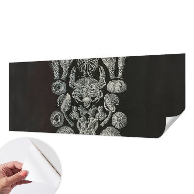 Fototapete nach Maß Unterwasserformen