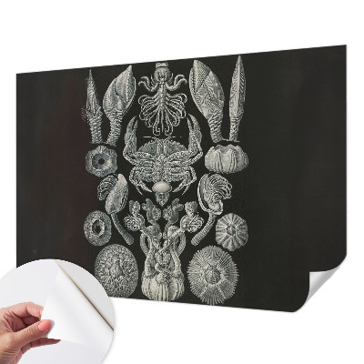 Fototapete nach Maß Unterwasserformen