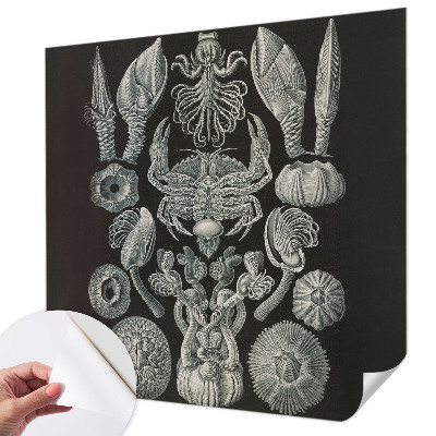 Fototapete nach Maß Unterwasserformen