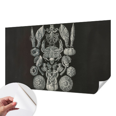 Fototapete nach Maß Unterwasserformen