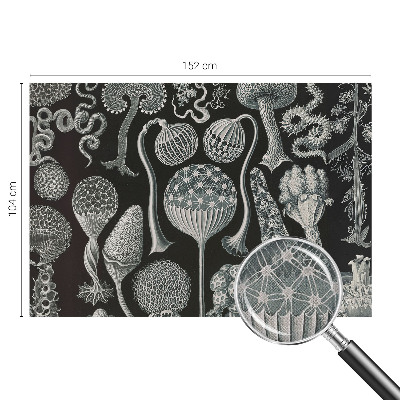 Moderne Fototapete nach Maß Magische Pflanzen