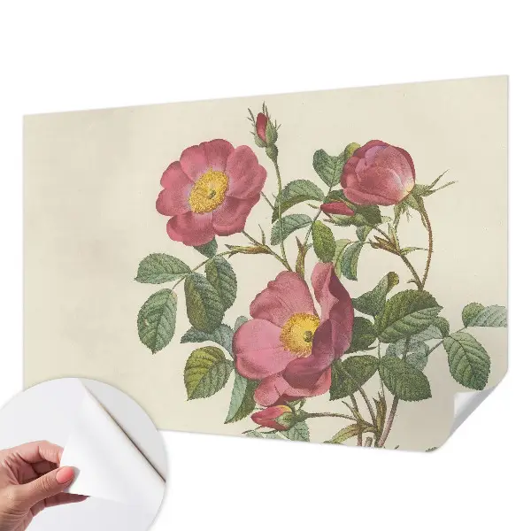 Motivtapete nach Maß mit Rosenmotiv
