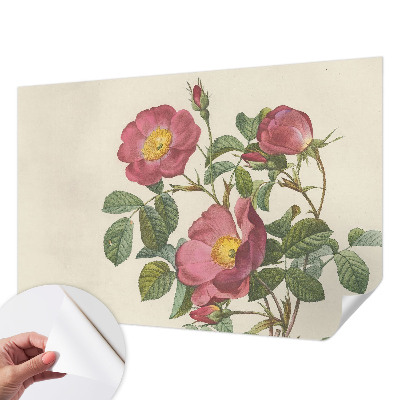 Motivtapete nach Maß mit Rosenmotiv