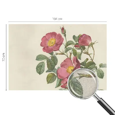 Motivtapete nach Maß mit Rosenmotiv
